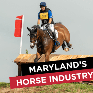 Maryland Horse Industry Statistics