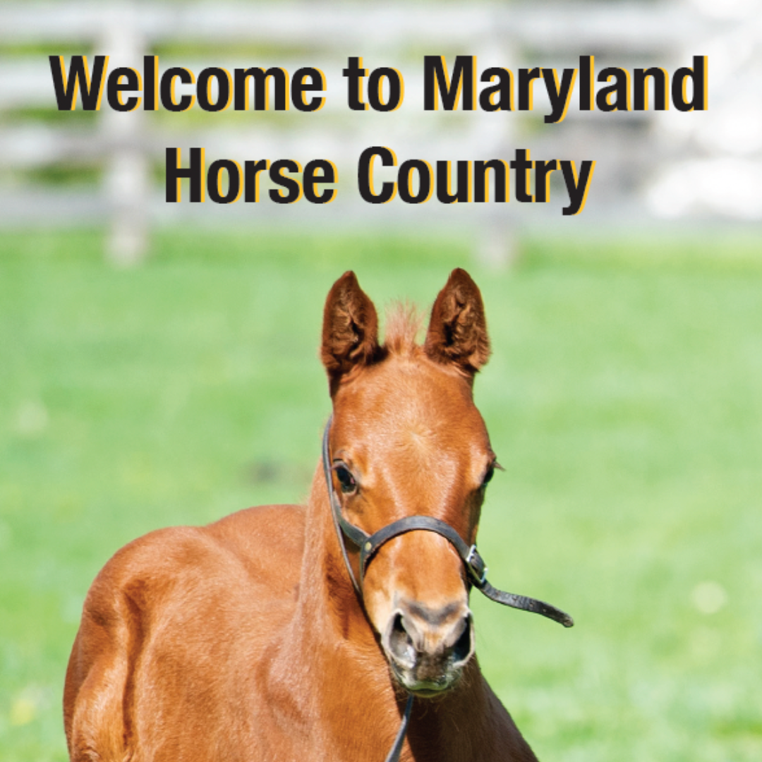 Maryland Horse Industry Trifold Image