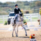 Cosby Green Shines in MARS Maryland 5 Star Debut in 5* Dressage Competition